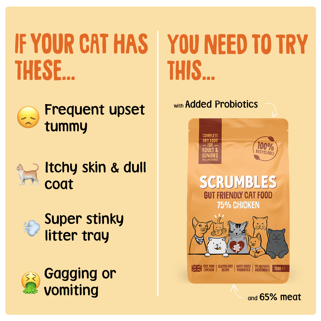 Scrumbles Facebook ad