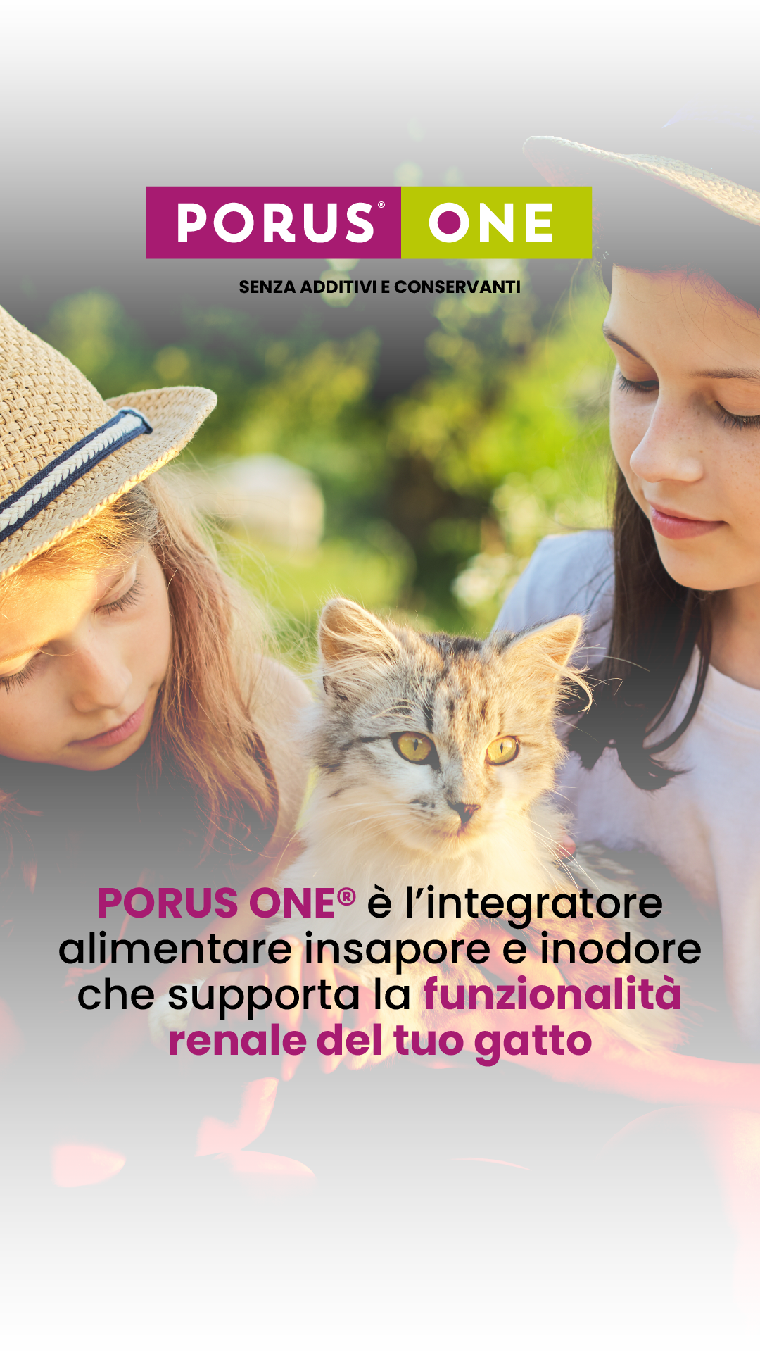 Dechra Italia Facebook ad from Jun 15, 2026