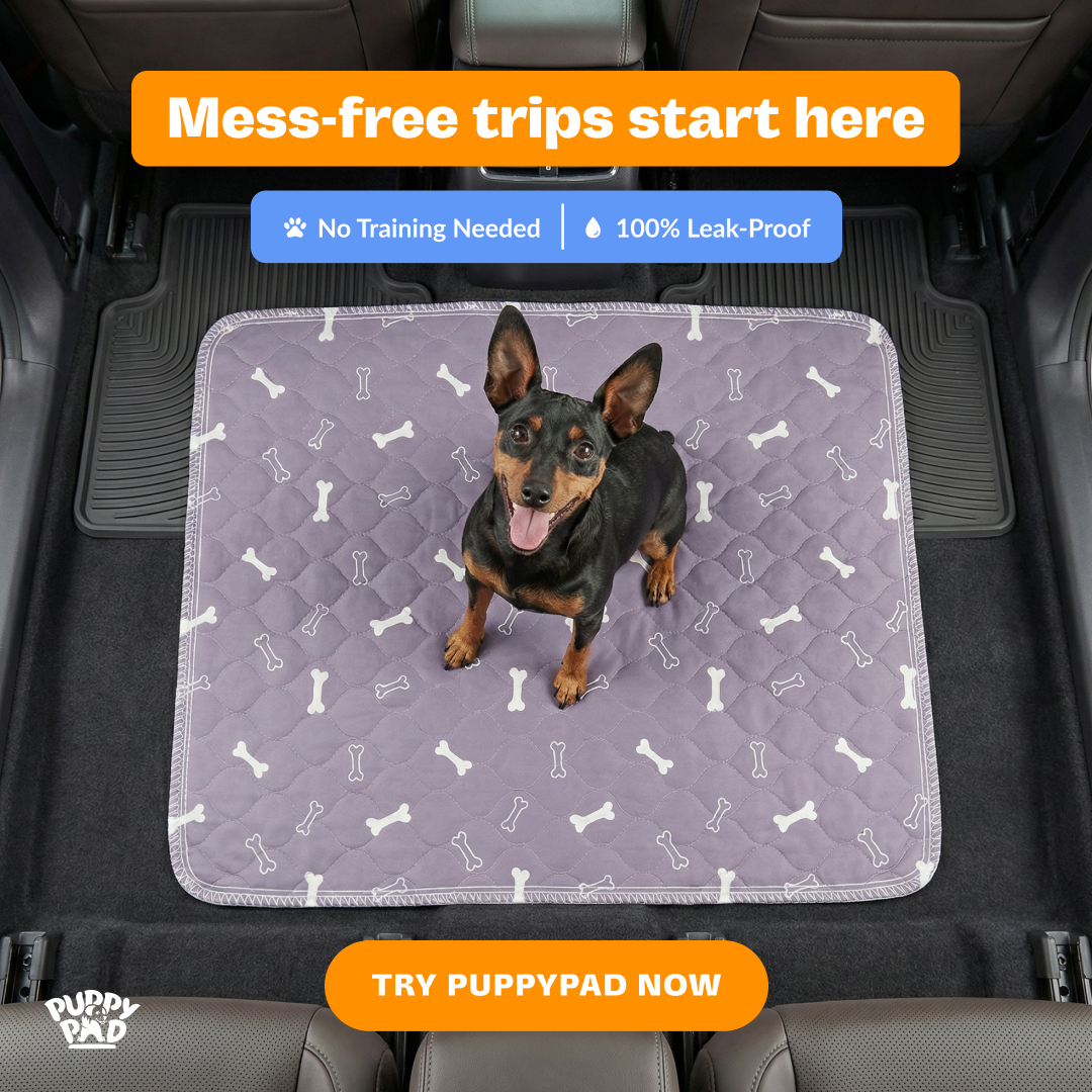 PuppyPad Facebook ad