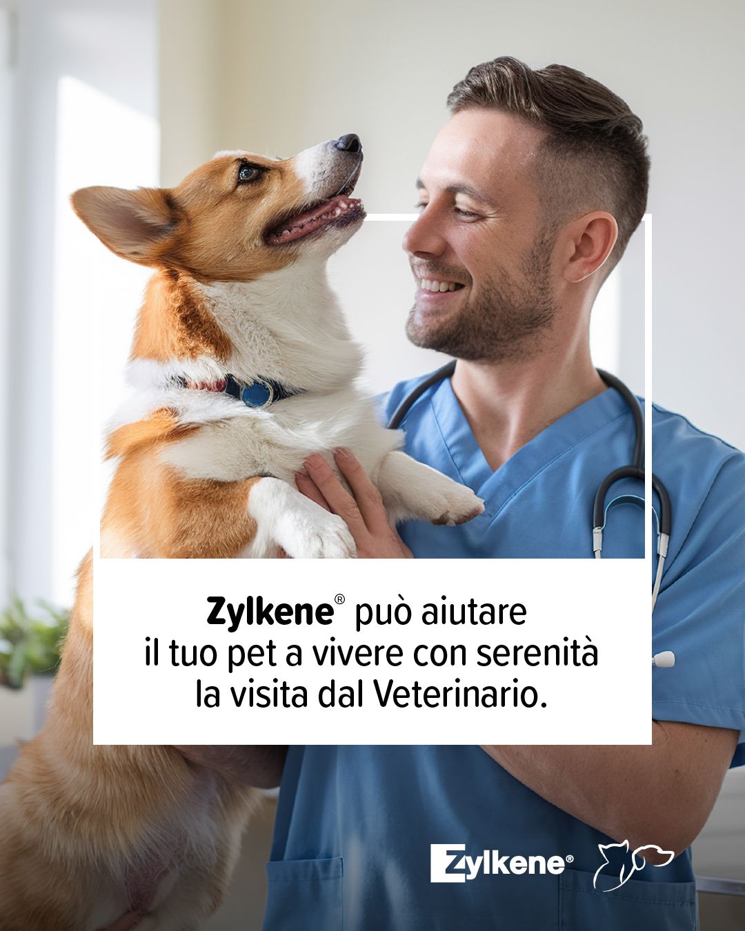 My Happy Pet Italia by Vetoquinol Facebook ad: Dove trovare Zylkene - Zylkene