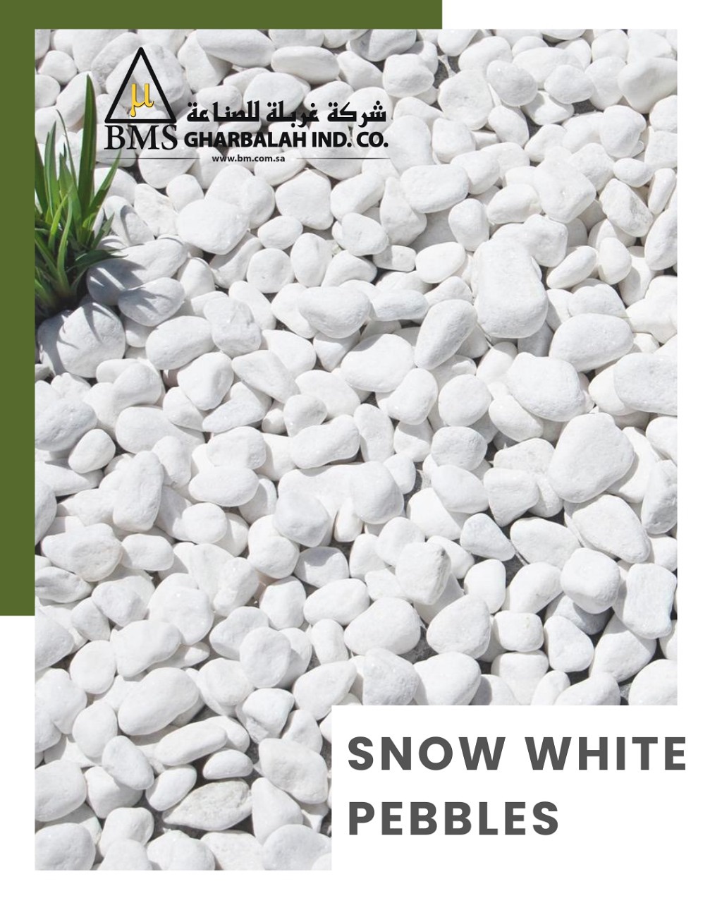 Gharbalah Industrial Company - BMS Facebook ad: Pure. Minimal. Timeless.