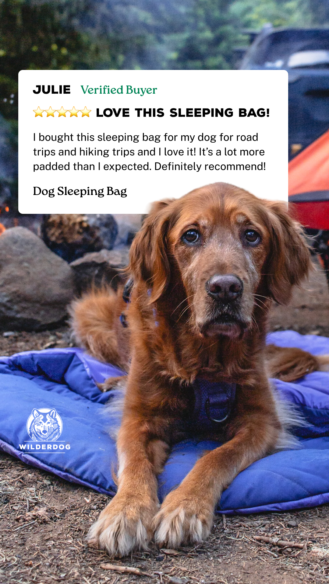 Wilderdog Facebook ad: Doggy Sleeping Bag