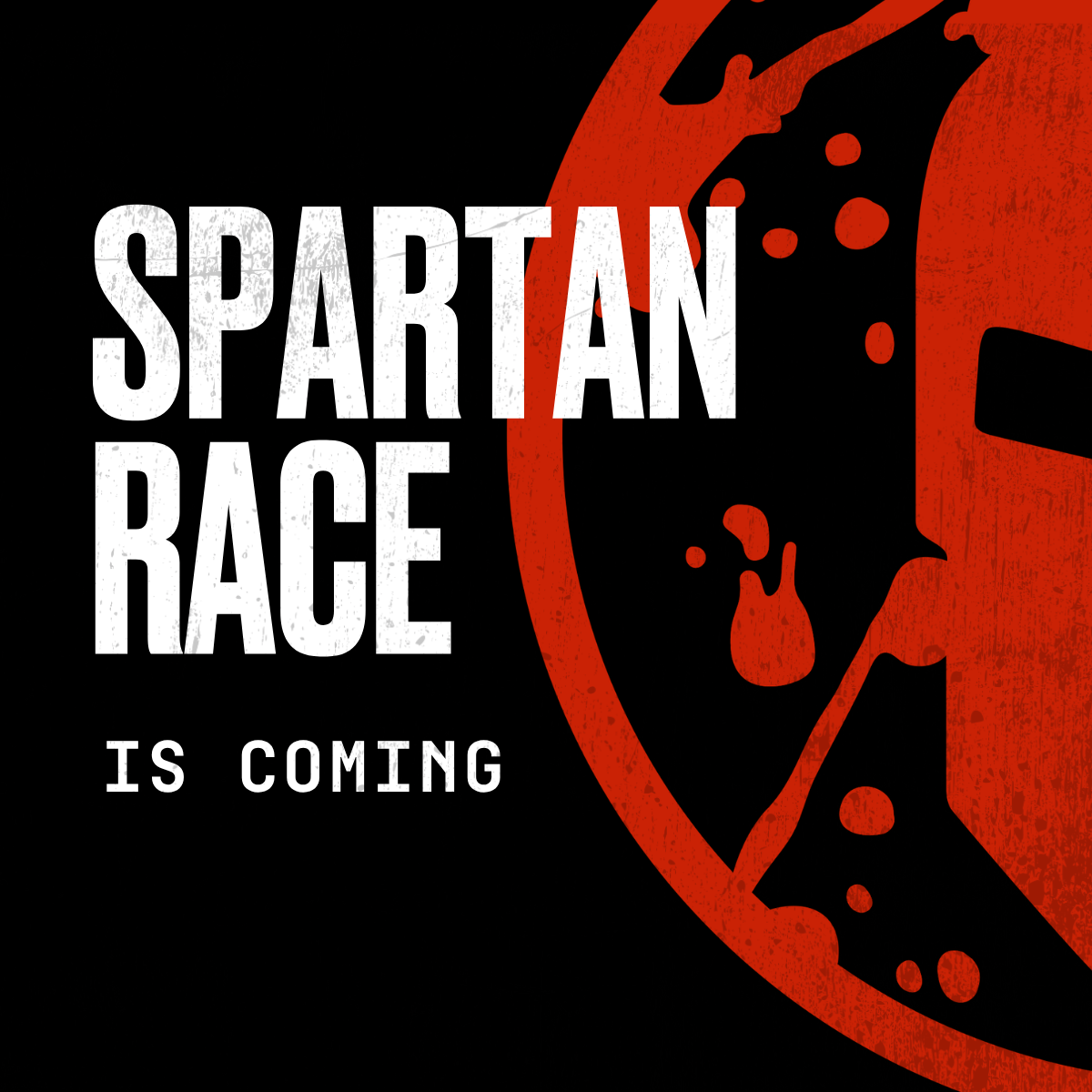 Spartan Race Australia/NZ Facebook ad