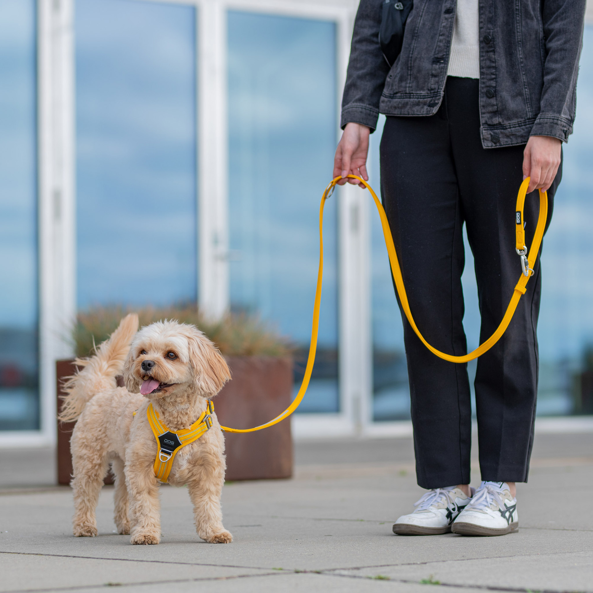 DOG Copenhagen Facebook ad