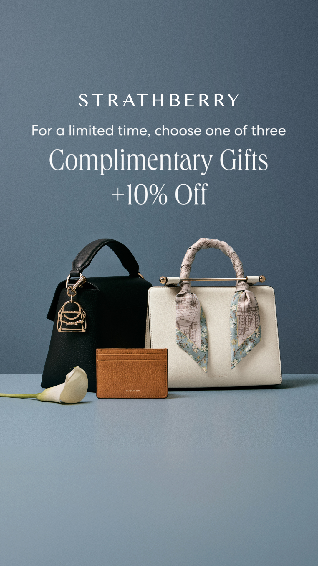 Strathberry Facebook ad