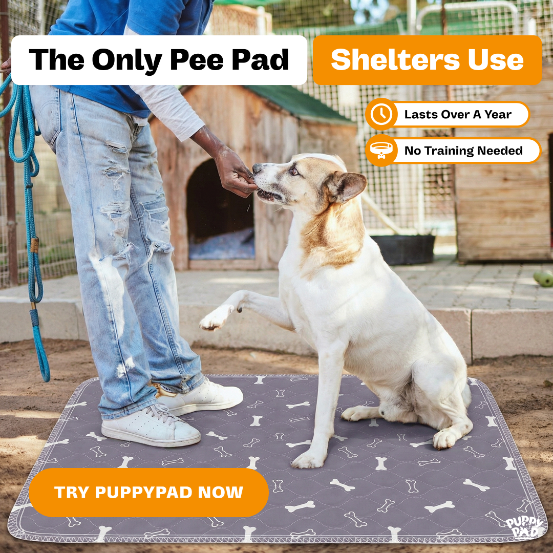 PuppyPad Facebook ad