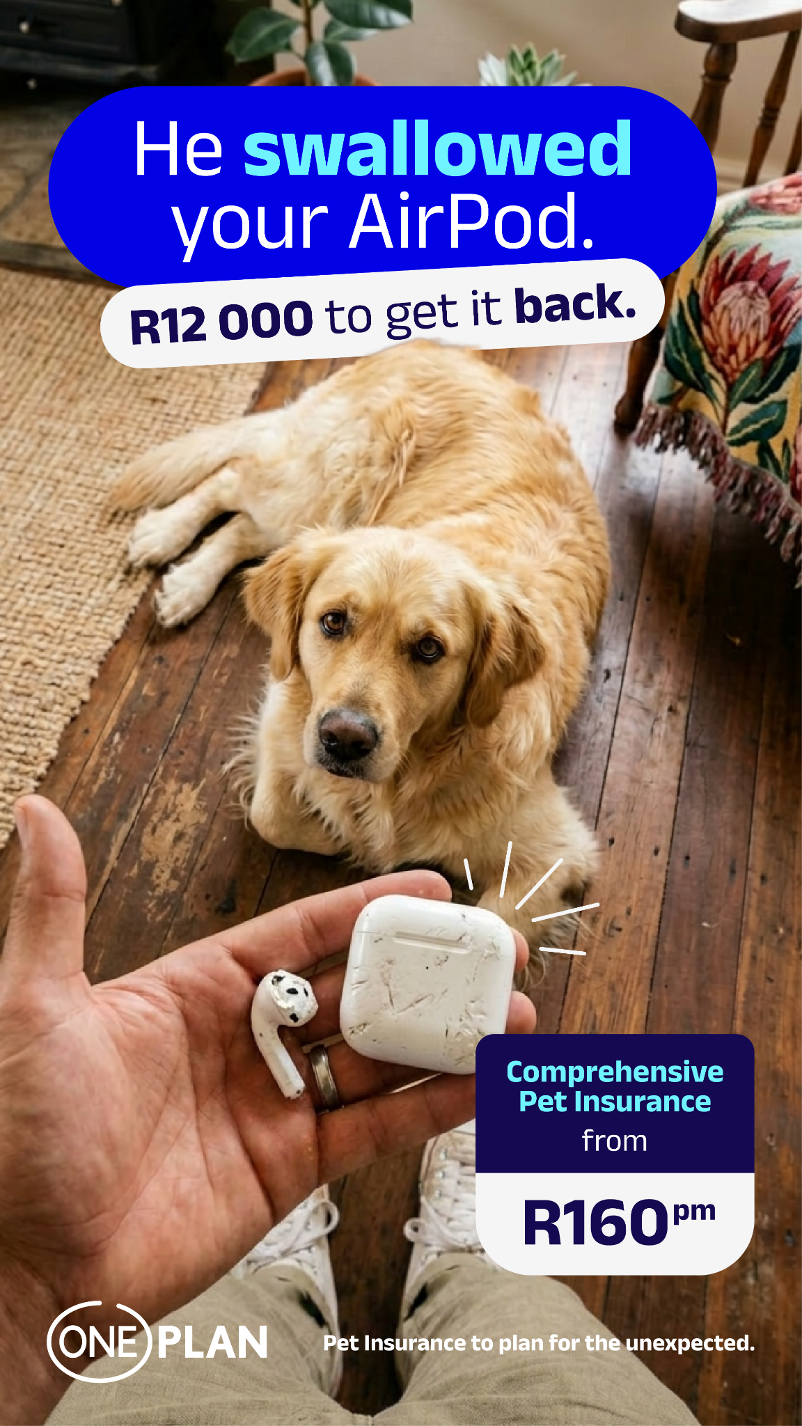 Oneplan Pet Insurance Facebook ad