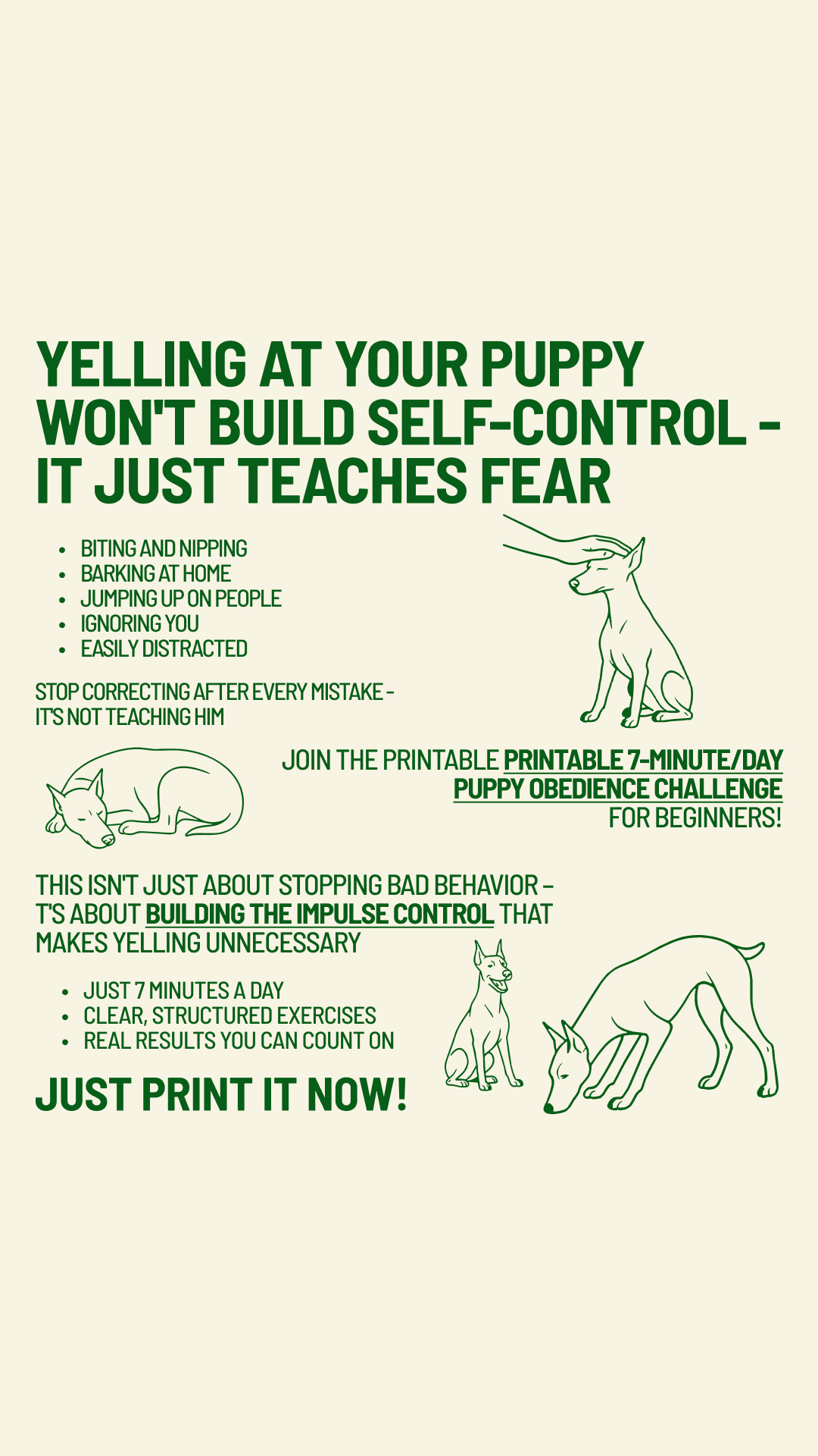 Dog Training & Tips Facebook ad