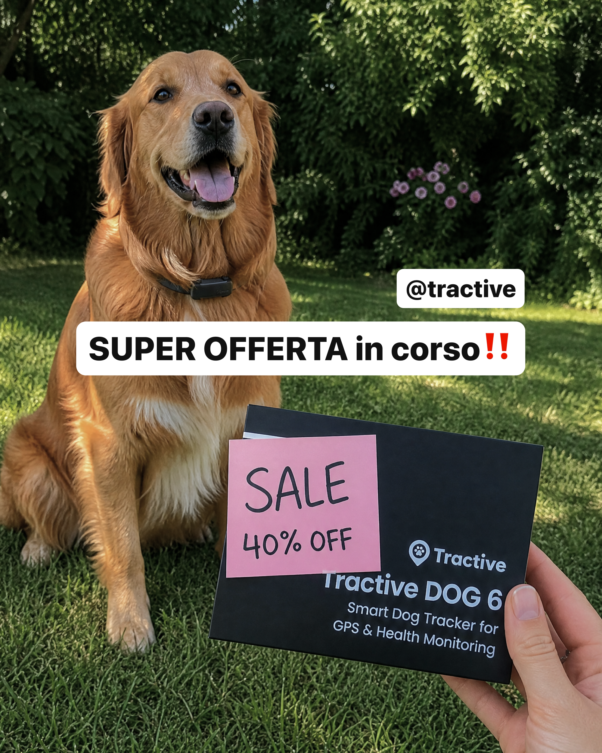 Tractive Facebook ad