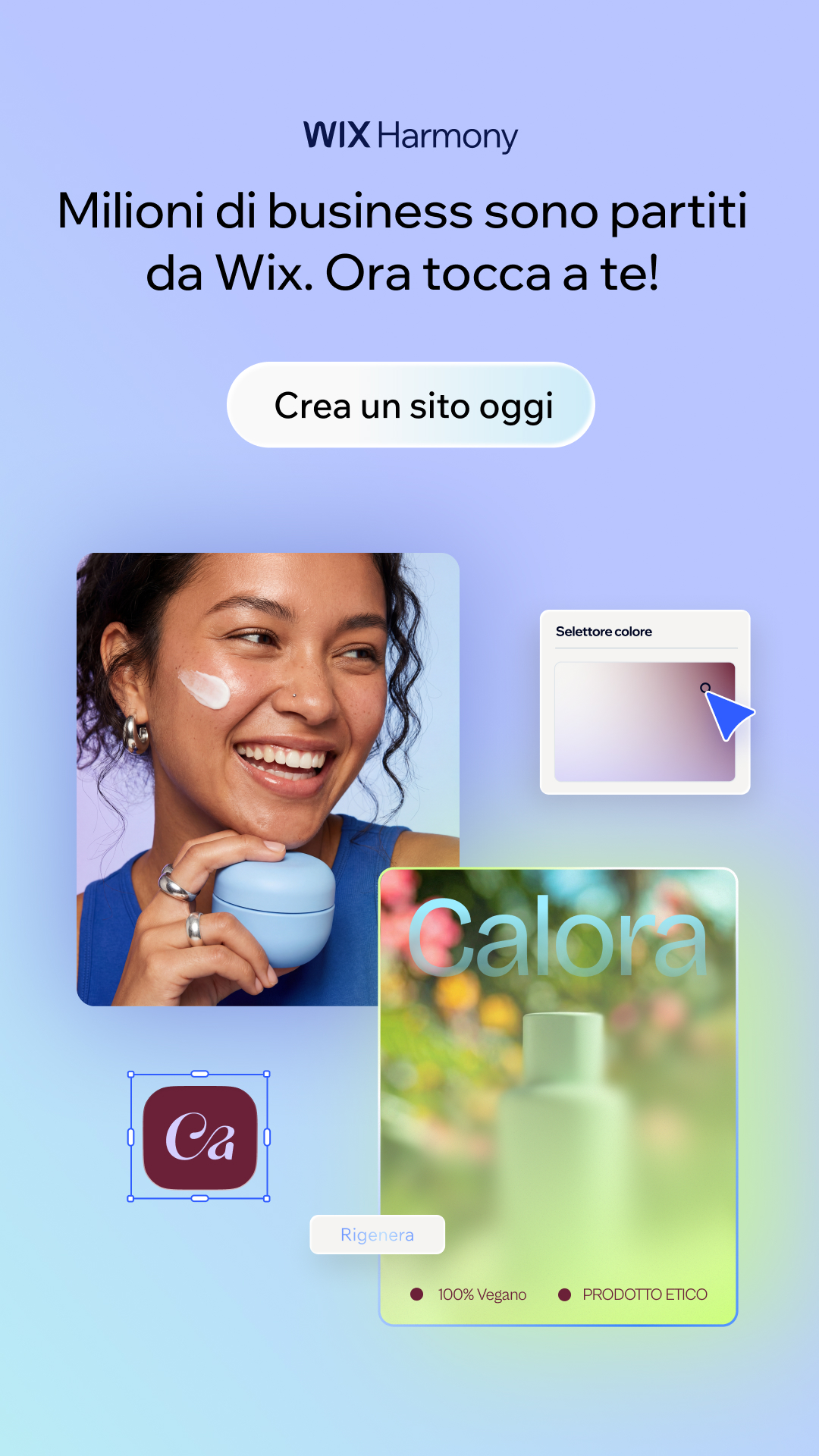 Wix Facebook ad