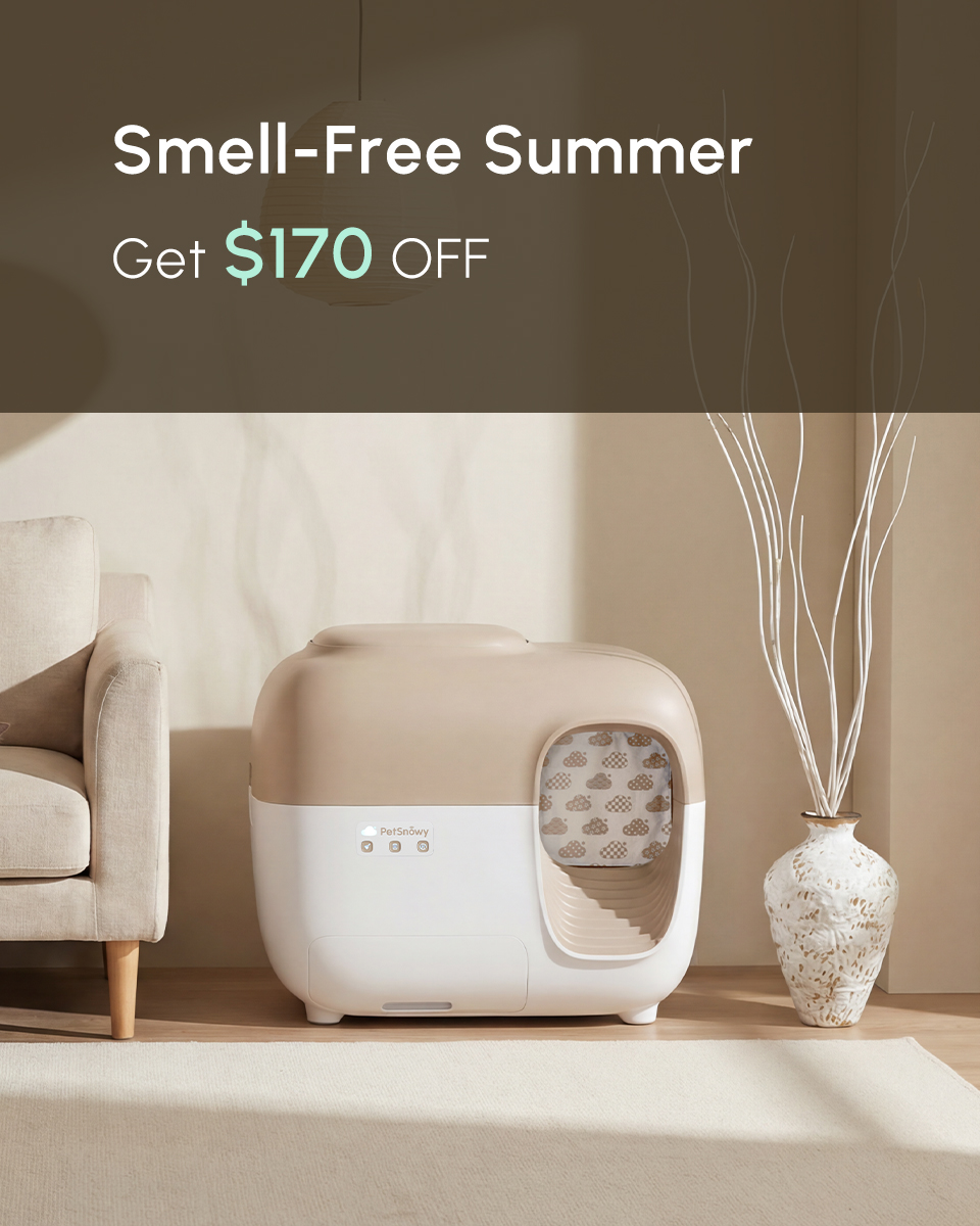 PetSnowy Facebook ad