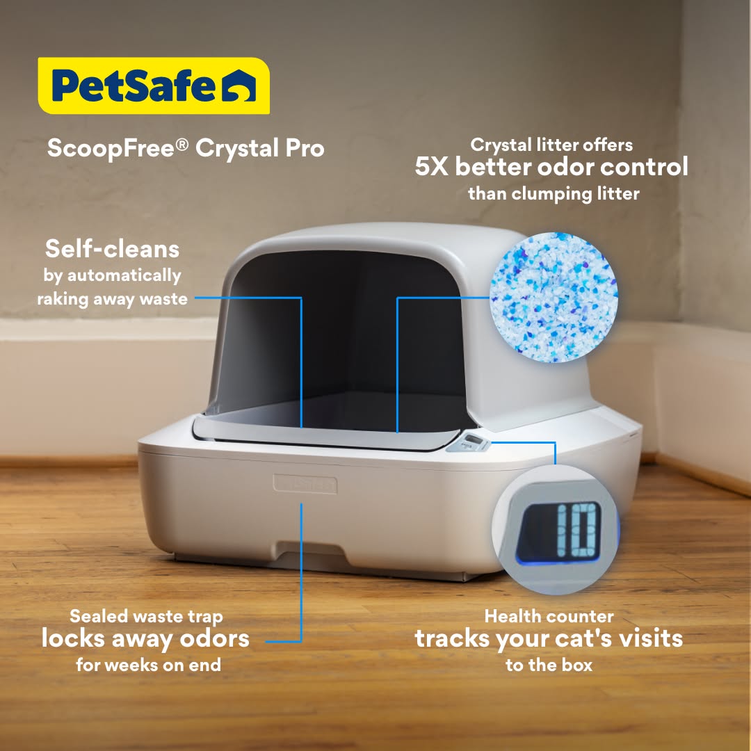 Chewy Facebook ad: Shop PetSafe ScoopFree Litter Boxes at Chewy