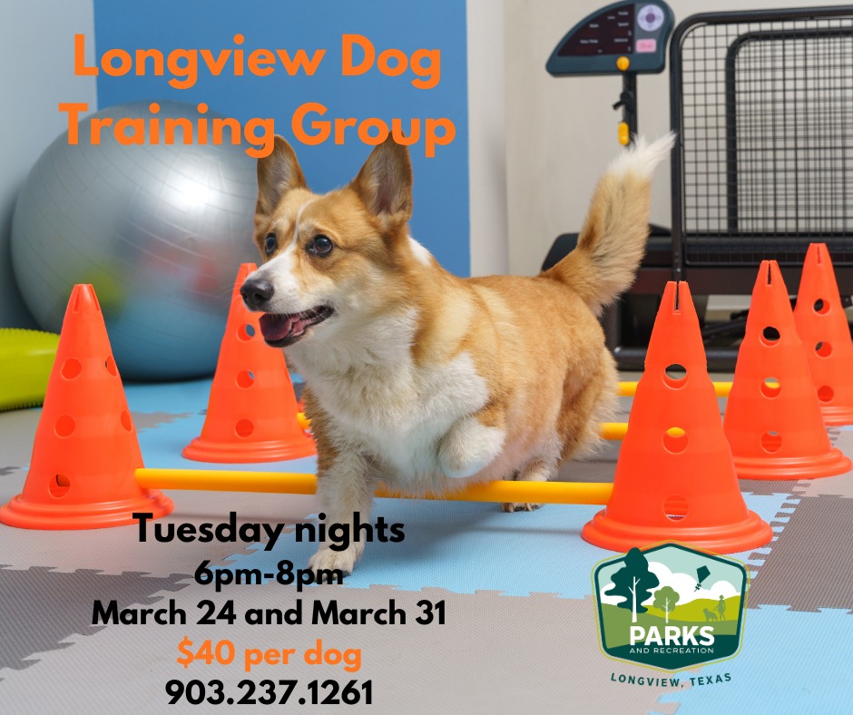 Longview Parks and Recreation Facebook ad