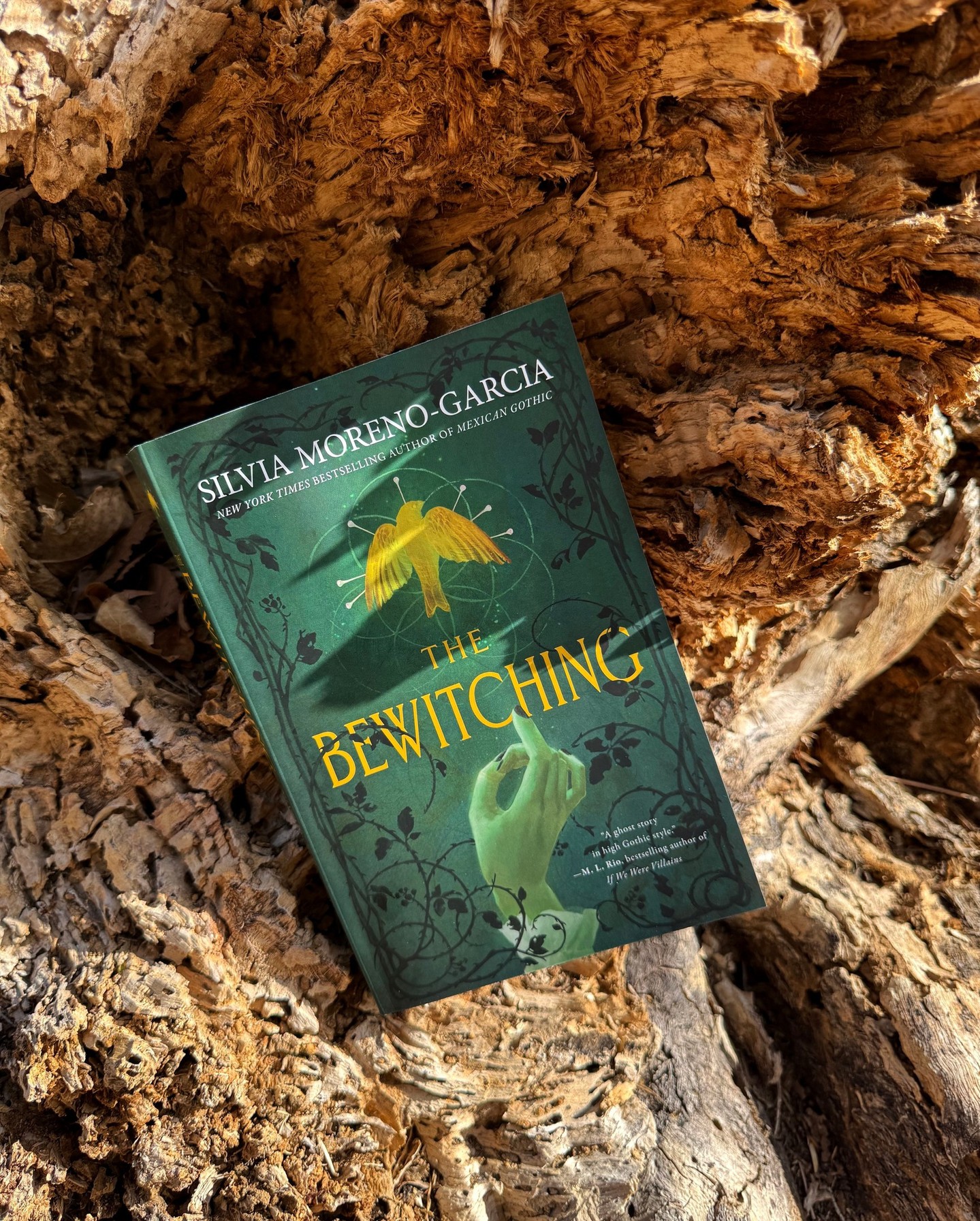 Silvia Moreno-Garcia Facebook ad: Looking for something new to read?