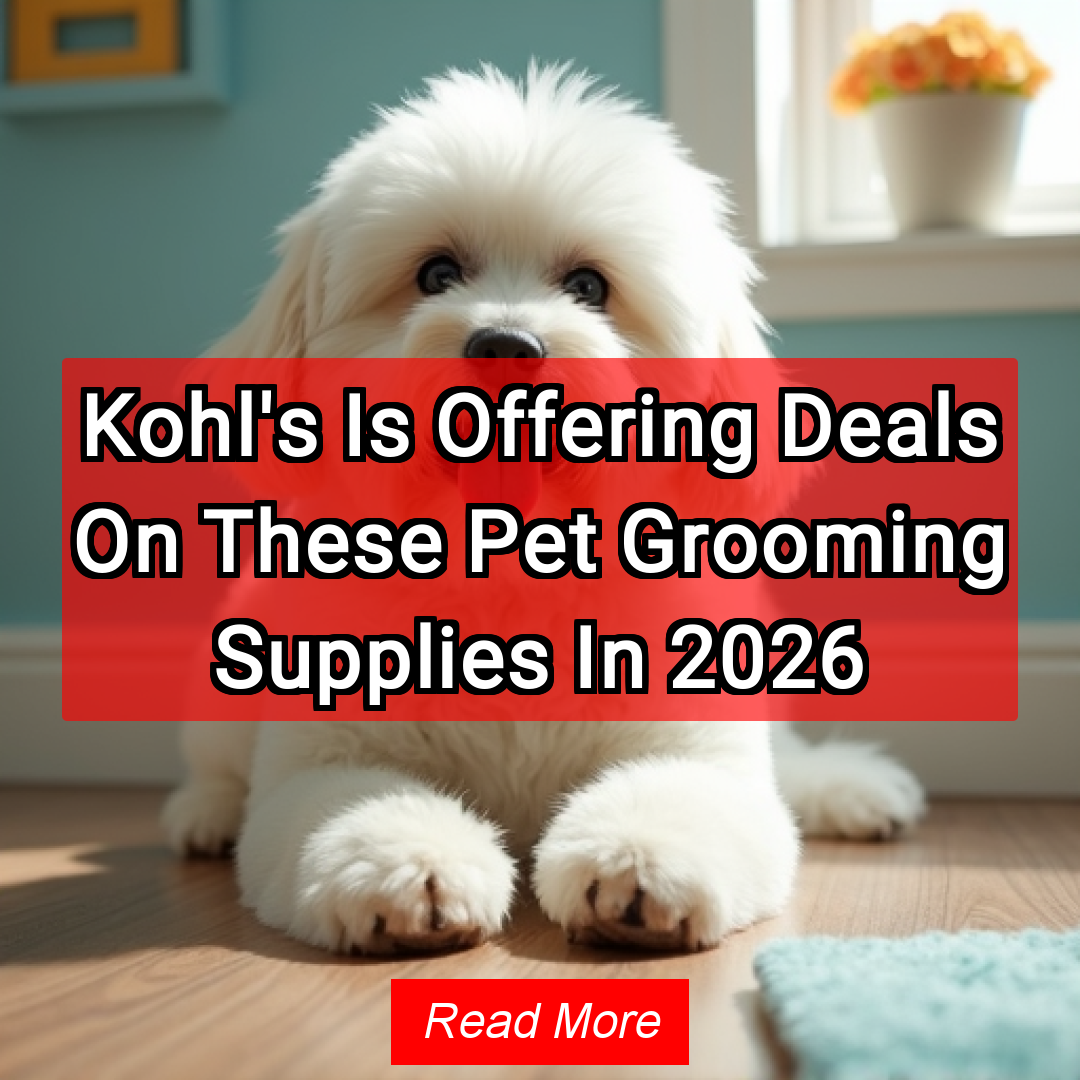 Get More Deals Facebook ad: Kohl's Is Offering Deals On These Pet Grooming Supplies In…