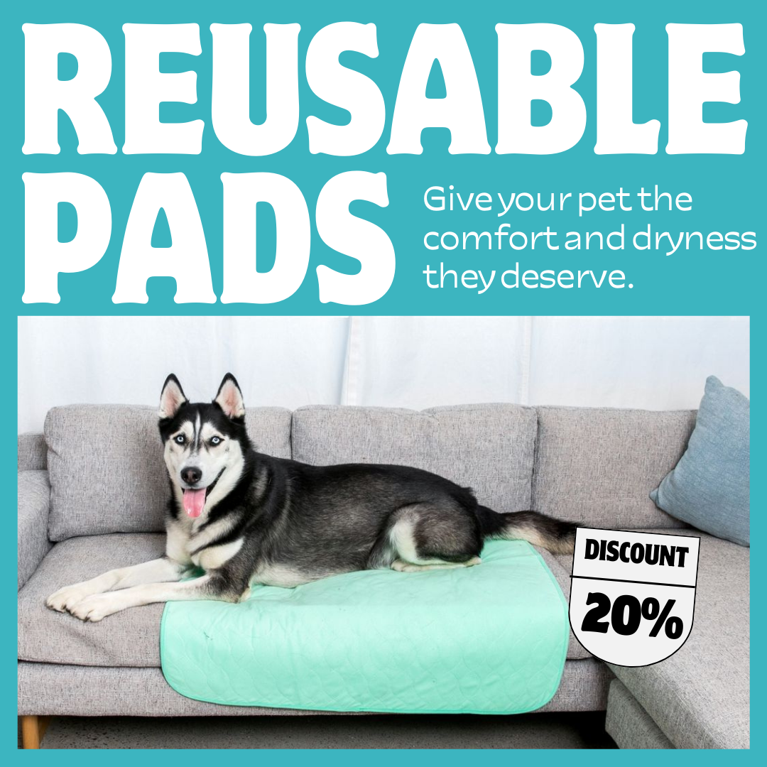 Potty Buddy Facebook ad