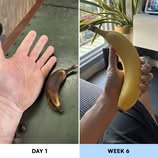 Dr. Matthew Anderson Facebook ad