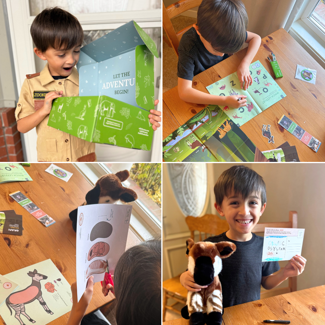 edZOOcation Subscription Box Facebook ad