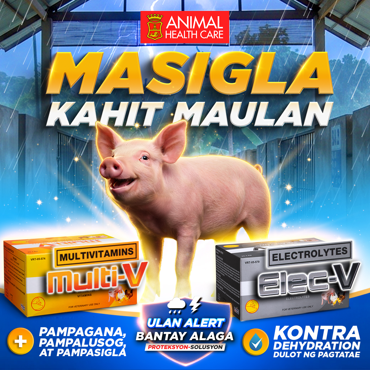 Alagang B-MEG Facebook ad: Pabago-bago man ang panahon, dapat tuloy-tuloy ang siglaβ¦