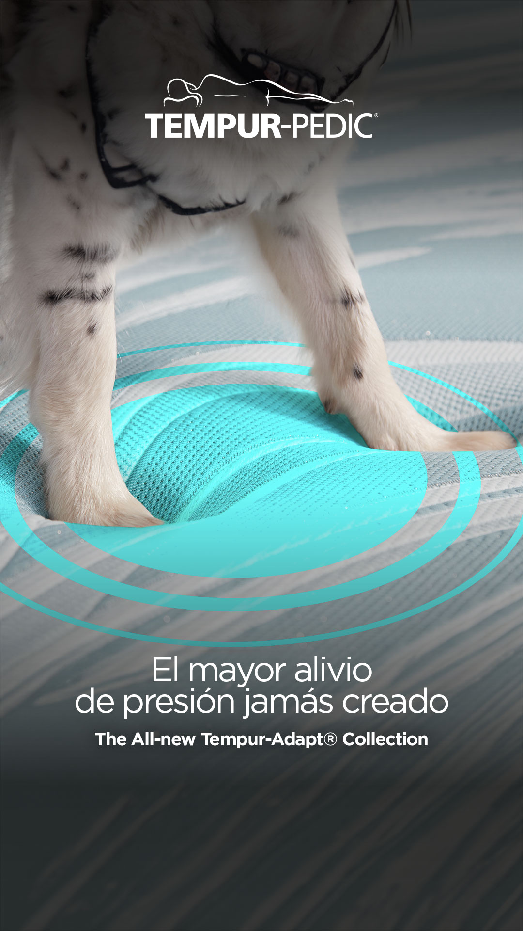 Tempur México Facebook ad from Mar 12, 2026