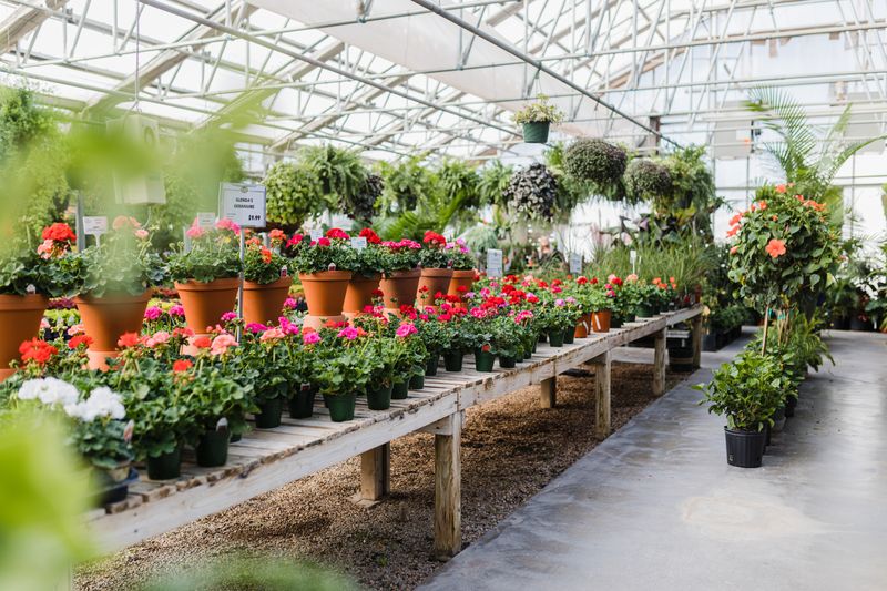 Pete's Greenhouse Facebook ad
