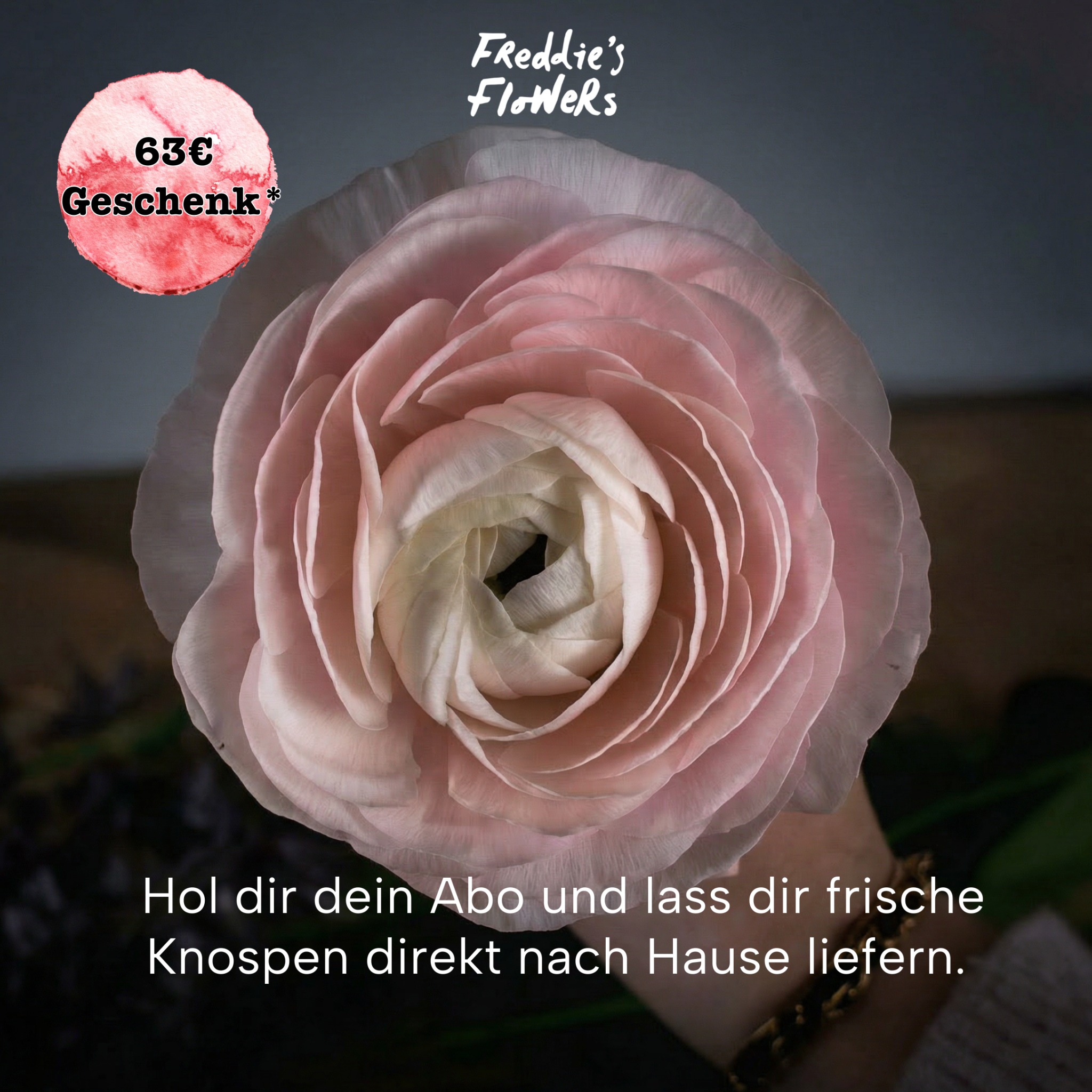 Freddie's Flowers Facebook ad