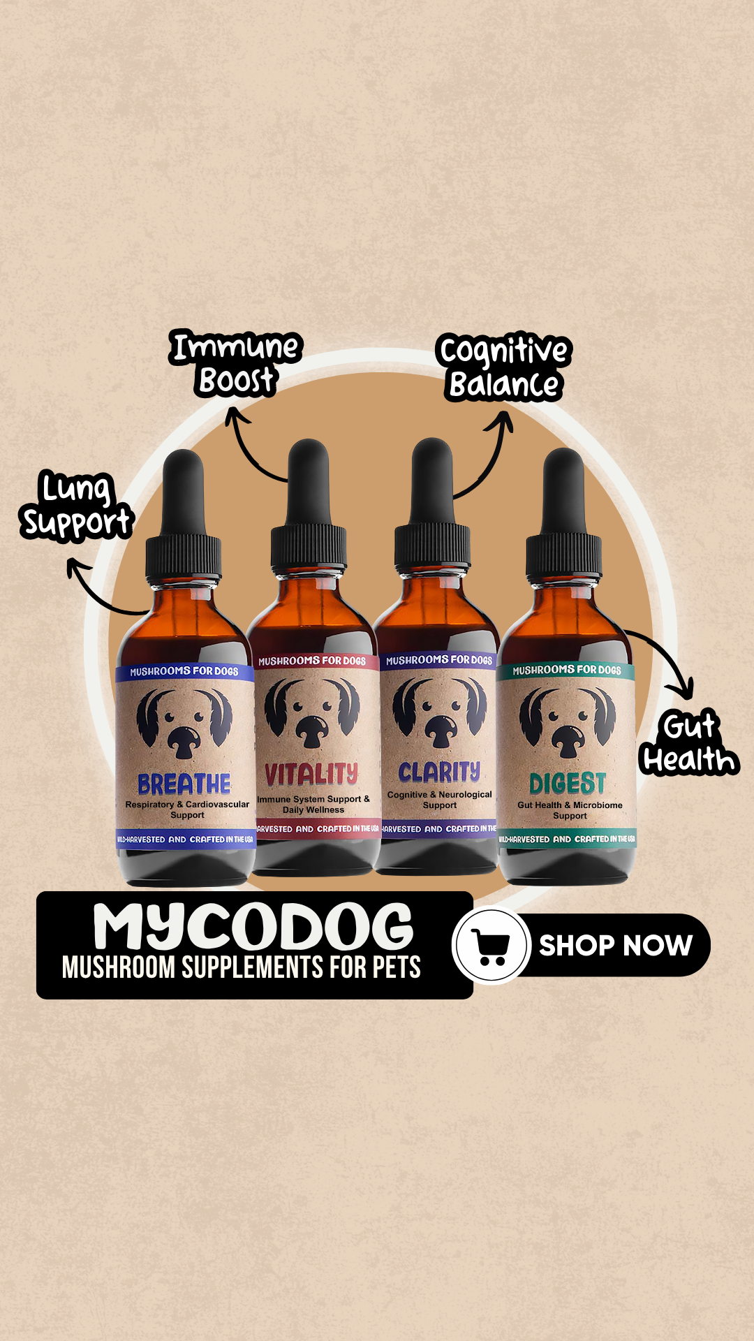 Hemp Pet Health Facebook ad: Mushrooms for your dog? YUP