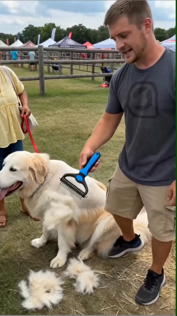 Bisnftwrem9- Facebook ad: Double-Sided Pet Grooming Brush, Hurtless Shedding &…