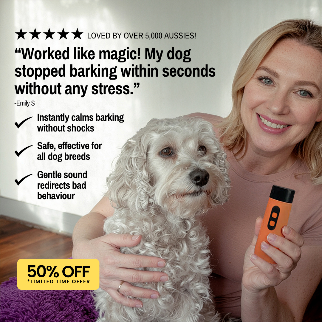 Hunters Doggy Daycare Facebook ad