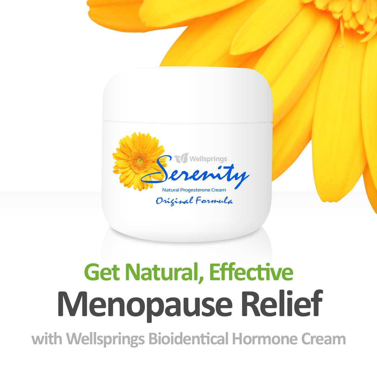Wellsprings Facebook ad