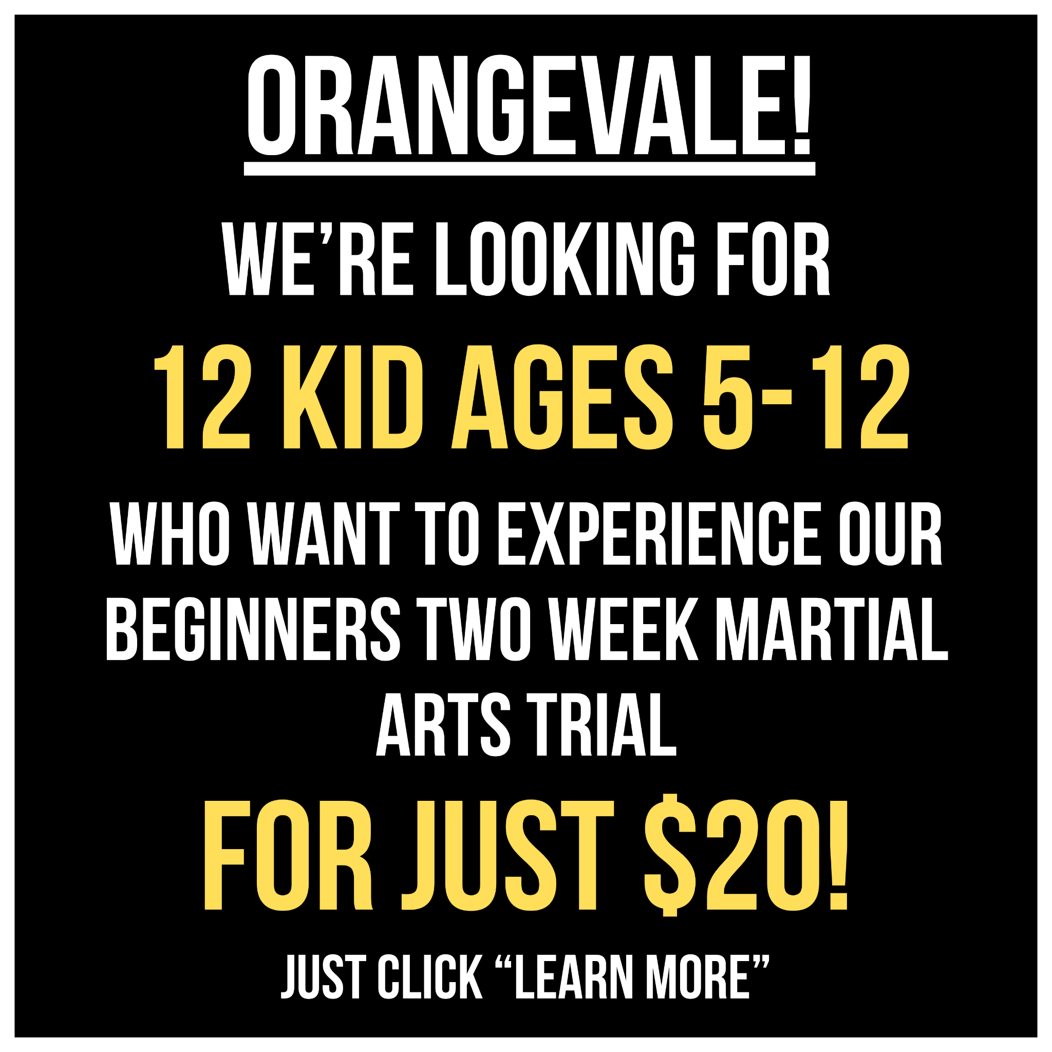 Orangevale Academy - Family Taekwondo Facebook ad