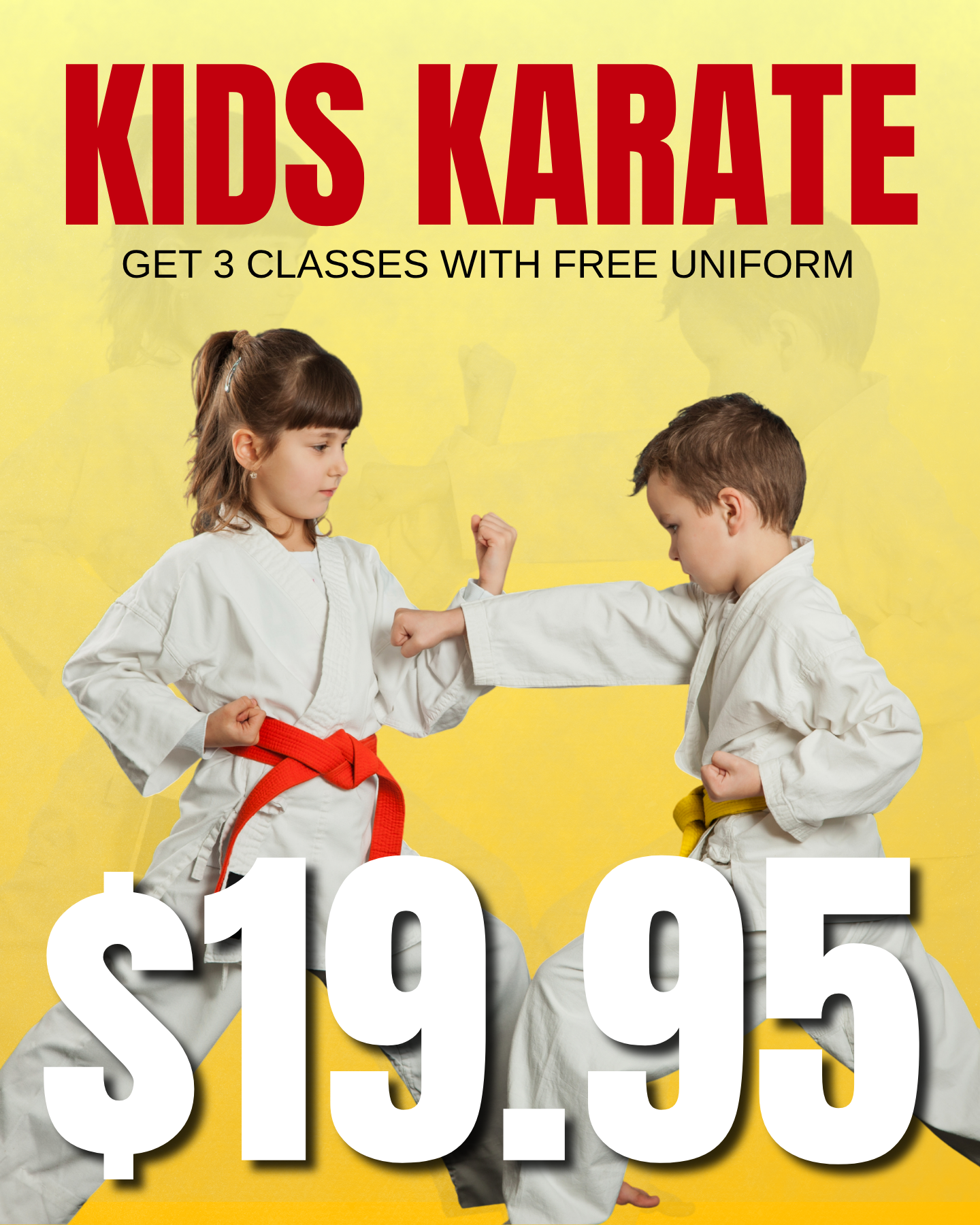 Amerikick Martial Arts Facebook ad