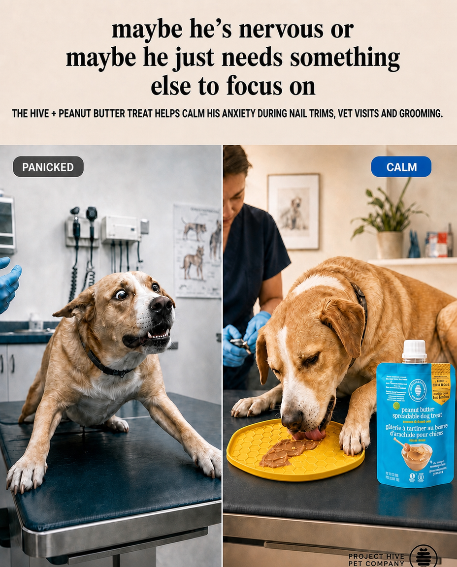Project Hive Pet Company Facebook ad: One Disc Just Replaced Three Things In Your Dog Bag Made…