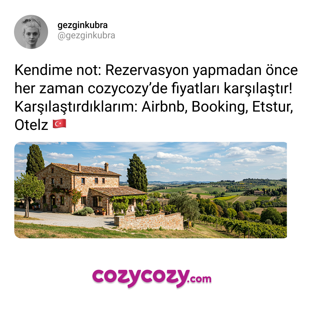 cozycozy.com Facebook ad