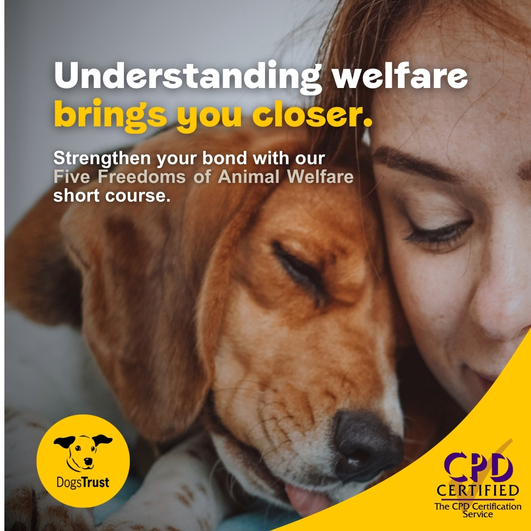Dogs Trust Ireland Facebook ad: Sign up now and get €5 off >>