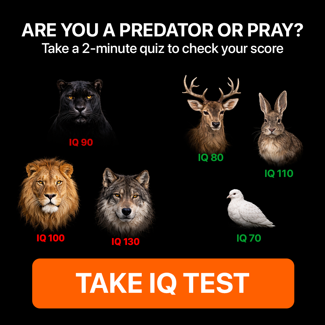 My IQ Facebook ad