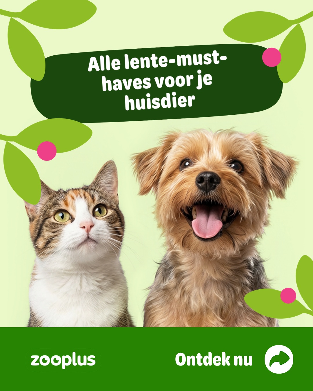 zooplus Facebook ad