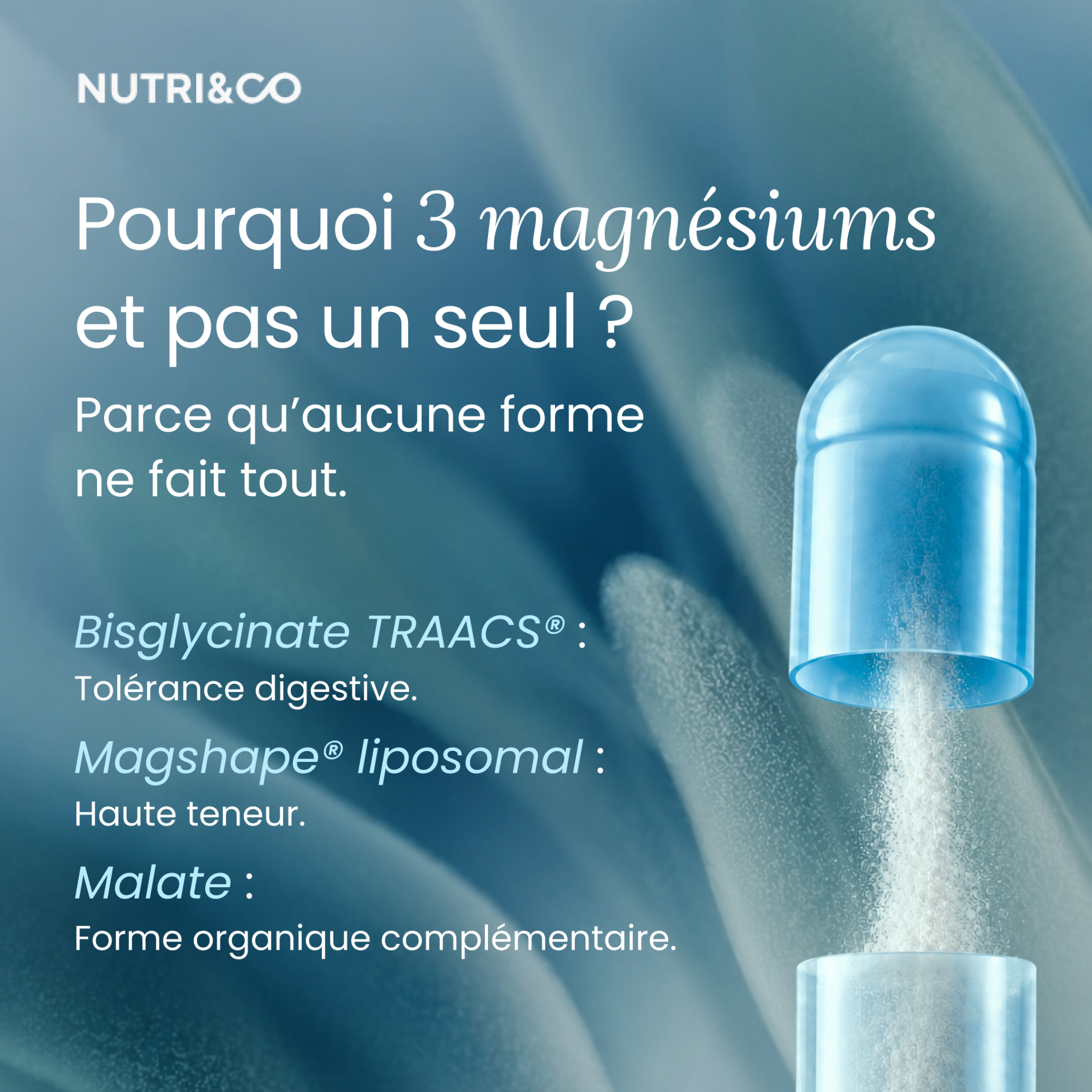 Nutri&Co Facebook ad