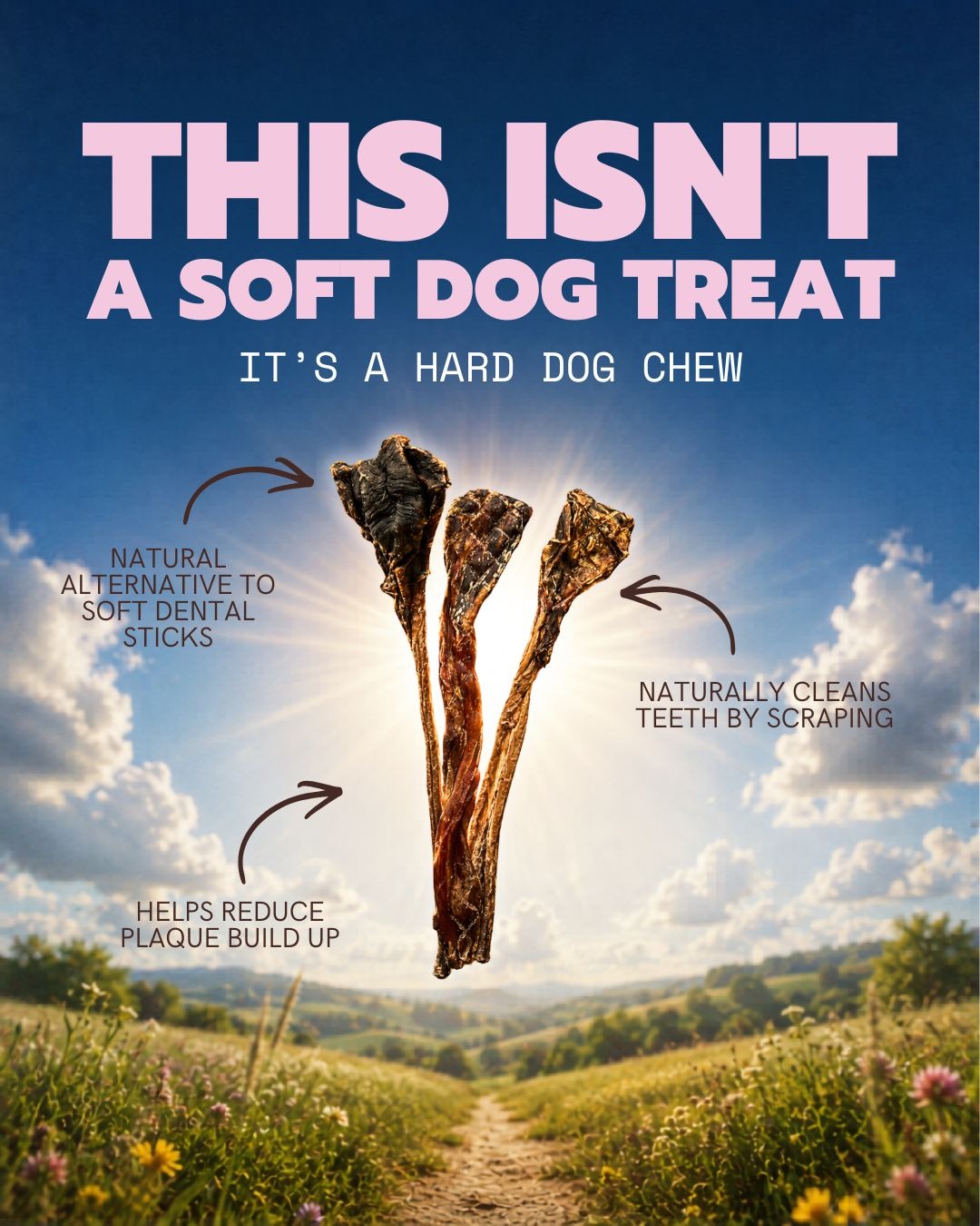 Ferguson's Treatos Facebook ad