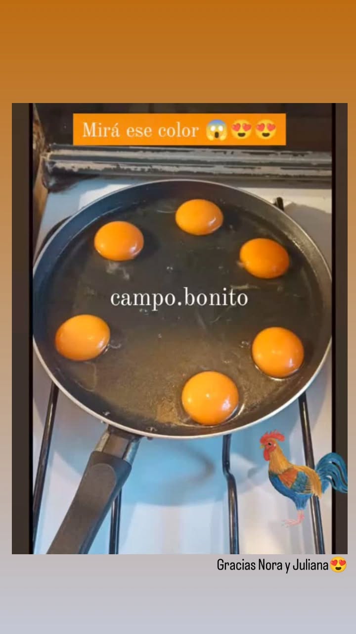 Huevos De Campo De Excelentísima Calidad Y Aceite De Oliva. Facebook ad: Gracias Nora y Juliana