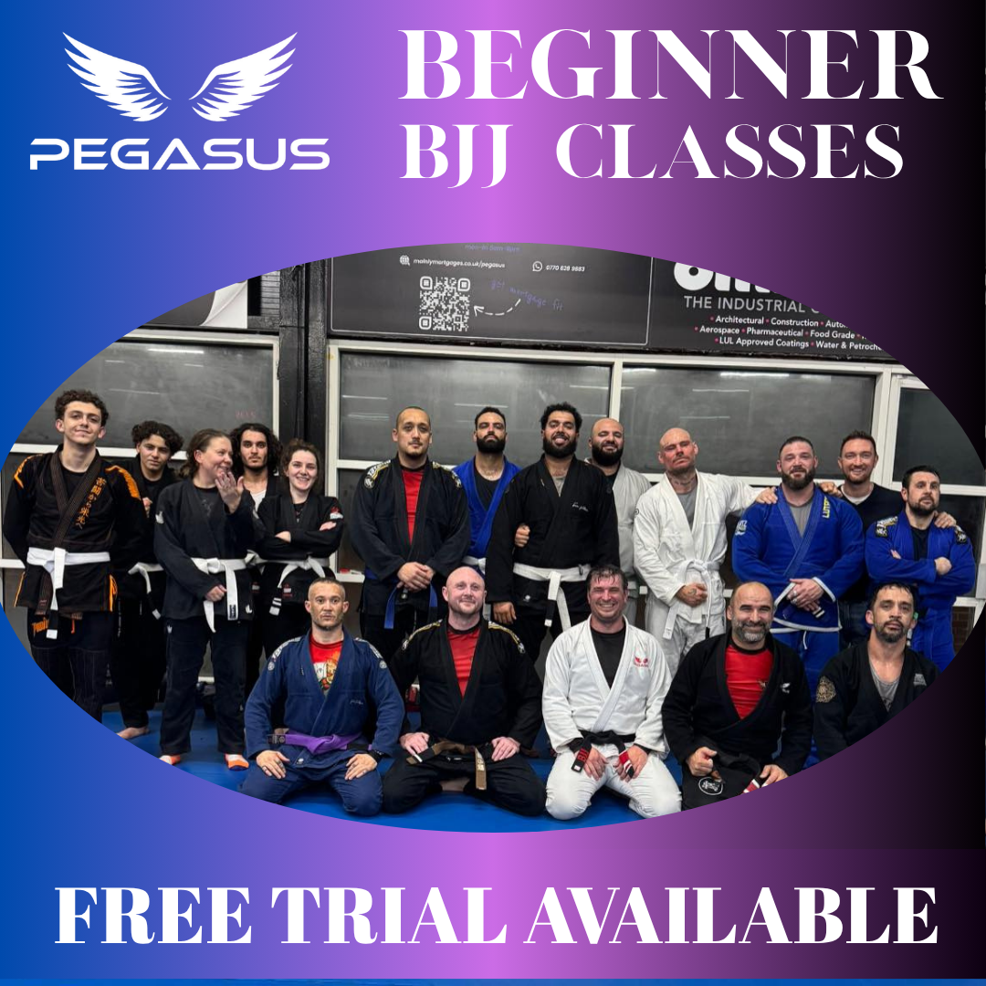 Pegasus Gym Facebook ad: FREE BJJ BEGINNER TRIAL