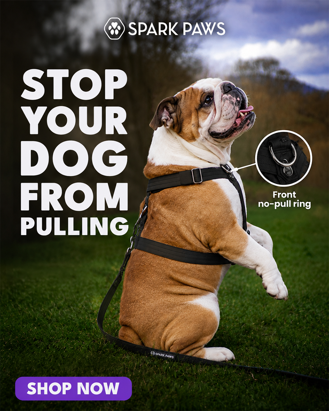 Spark Paws Facebook ad