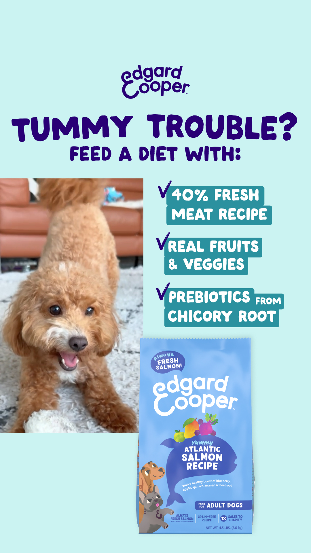 Edgard & Cooper Facebook ad from Feb 2, 2026