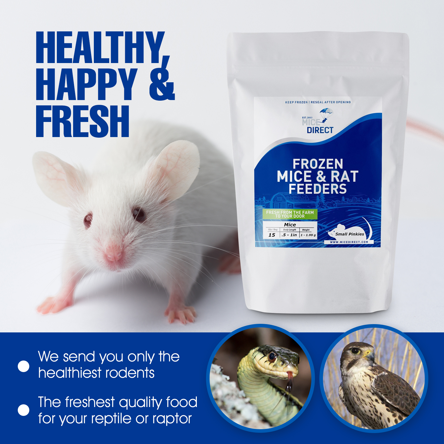 Mice Direct Facebook ad: Your reptile deserves the best and this is…