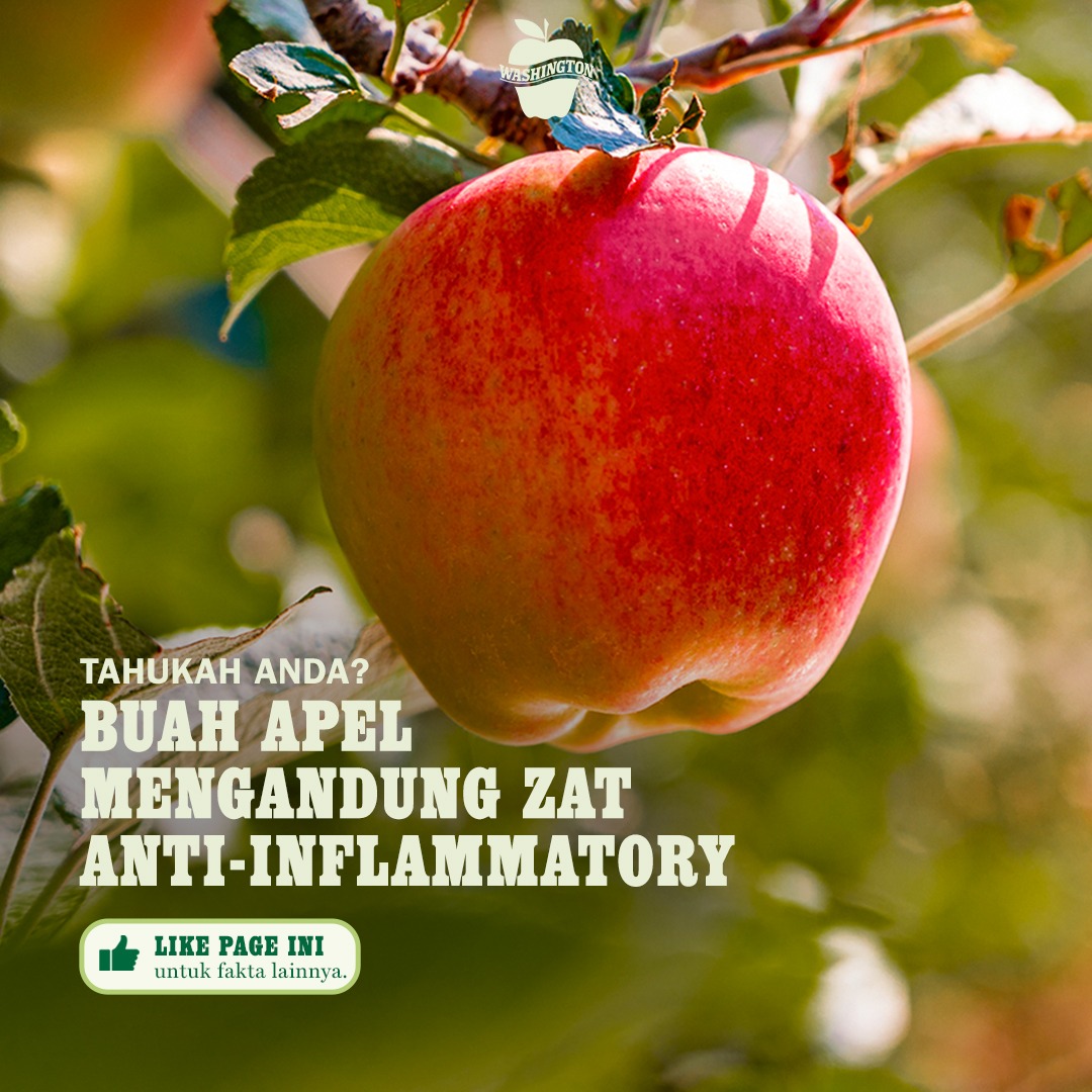 Washington Apples Indonesia Facebook ad: Buah apel mengandung zat anti-inflammatory, terutama serat…