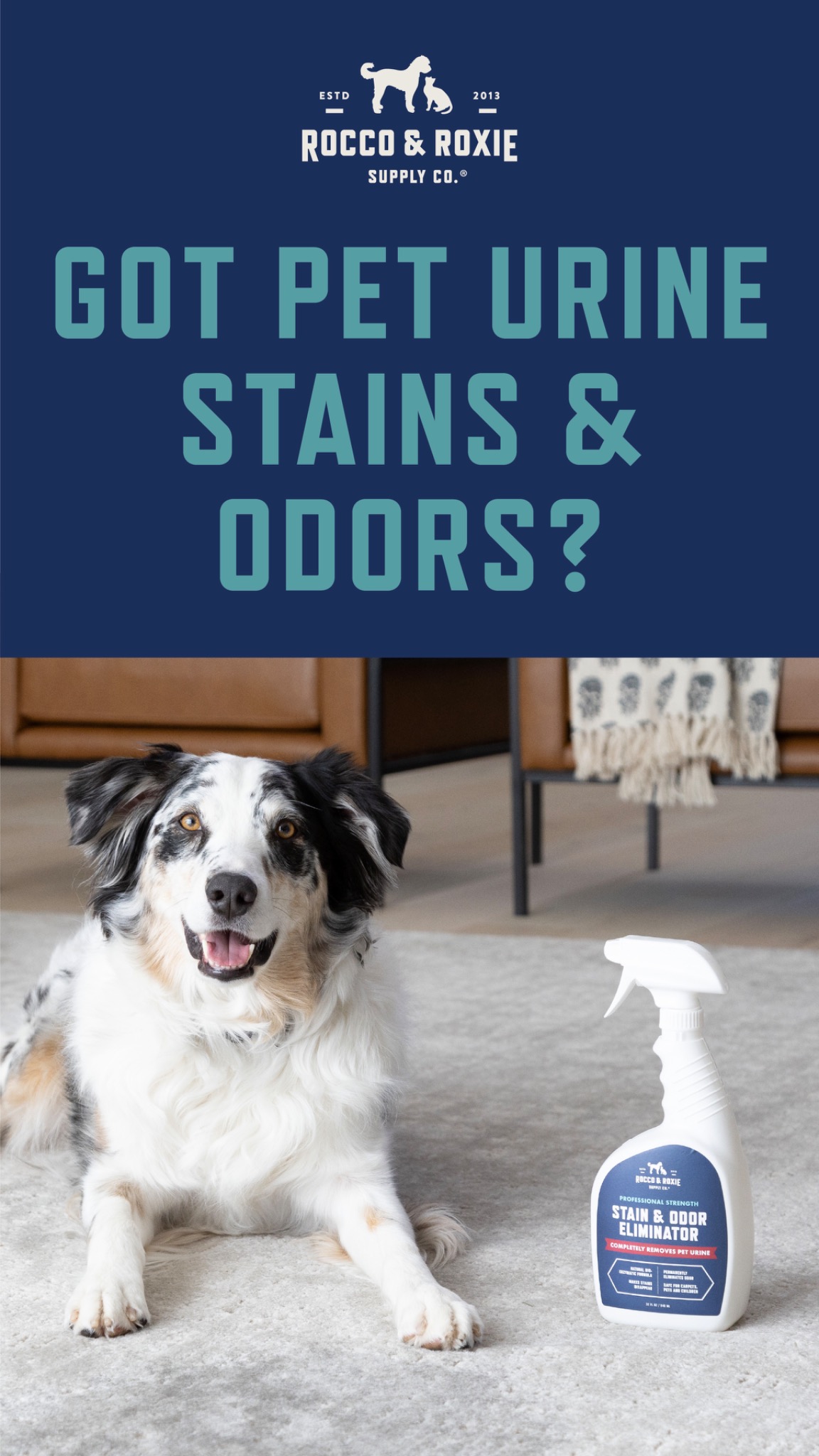 Rocco & Roxie Supply Co Facebook ad from Apr 8, 2026