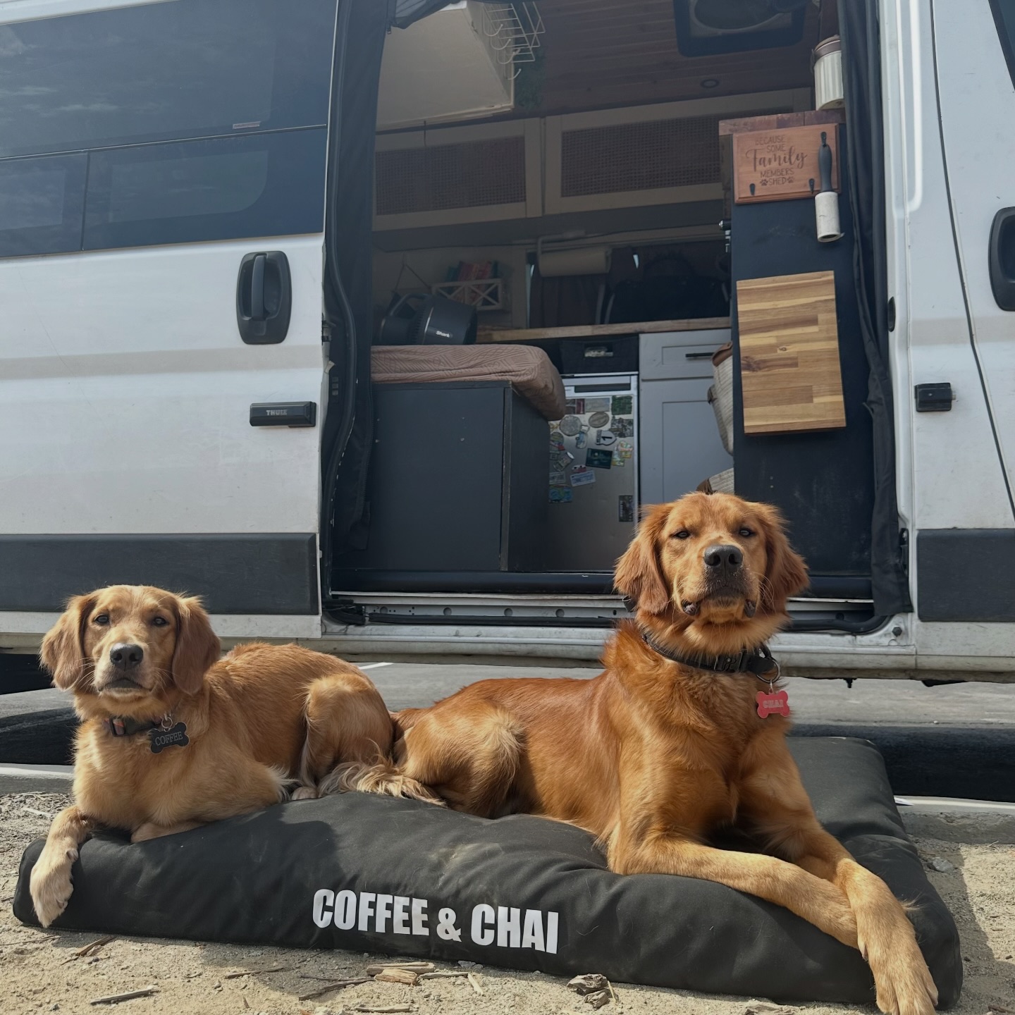 Black Lab Brands Facebook ad
