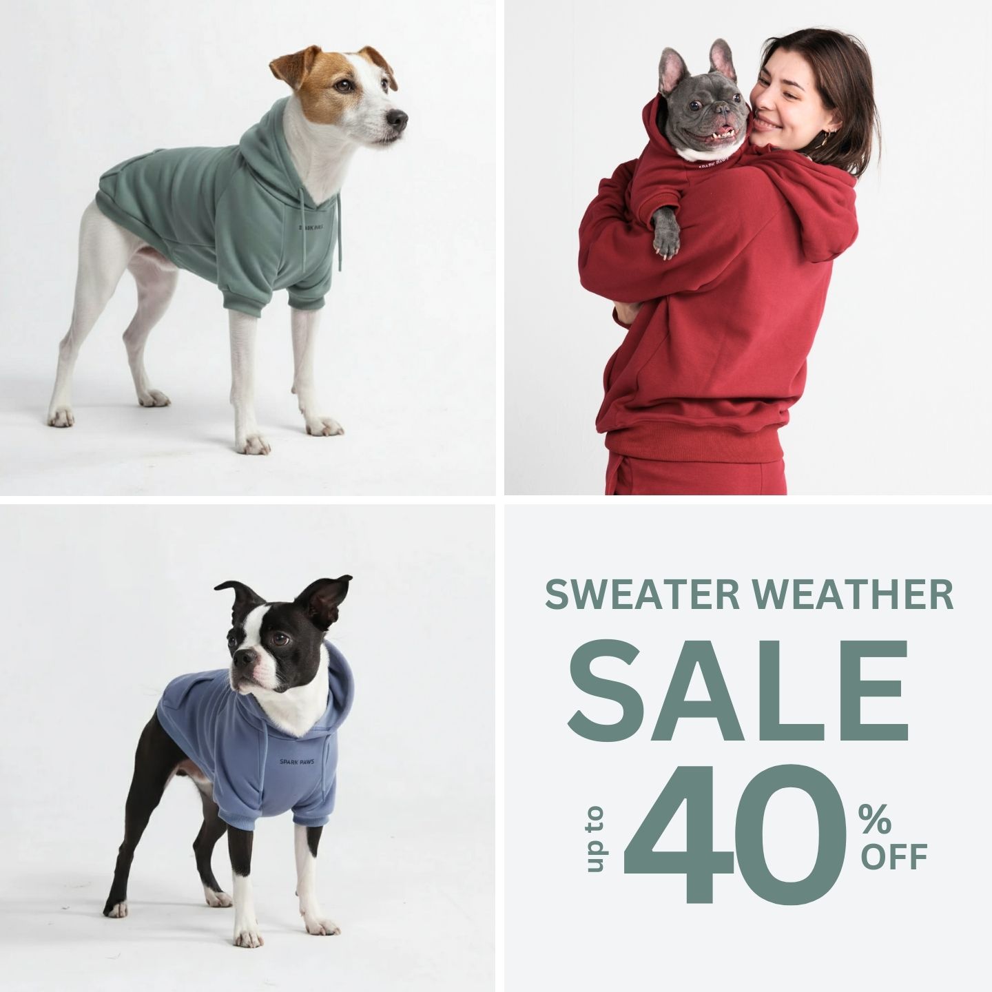Spark Paws Facebook ad