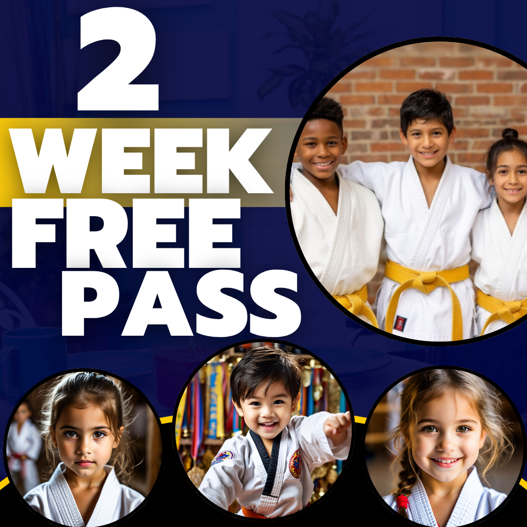 National Taekwondo Academy Facebook ad: 2 WEEKS OF FREE TAEKWONDO CLASSES!