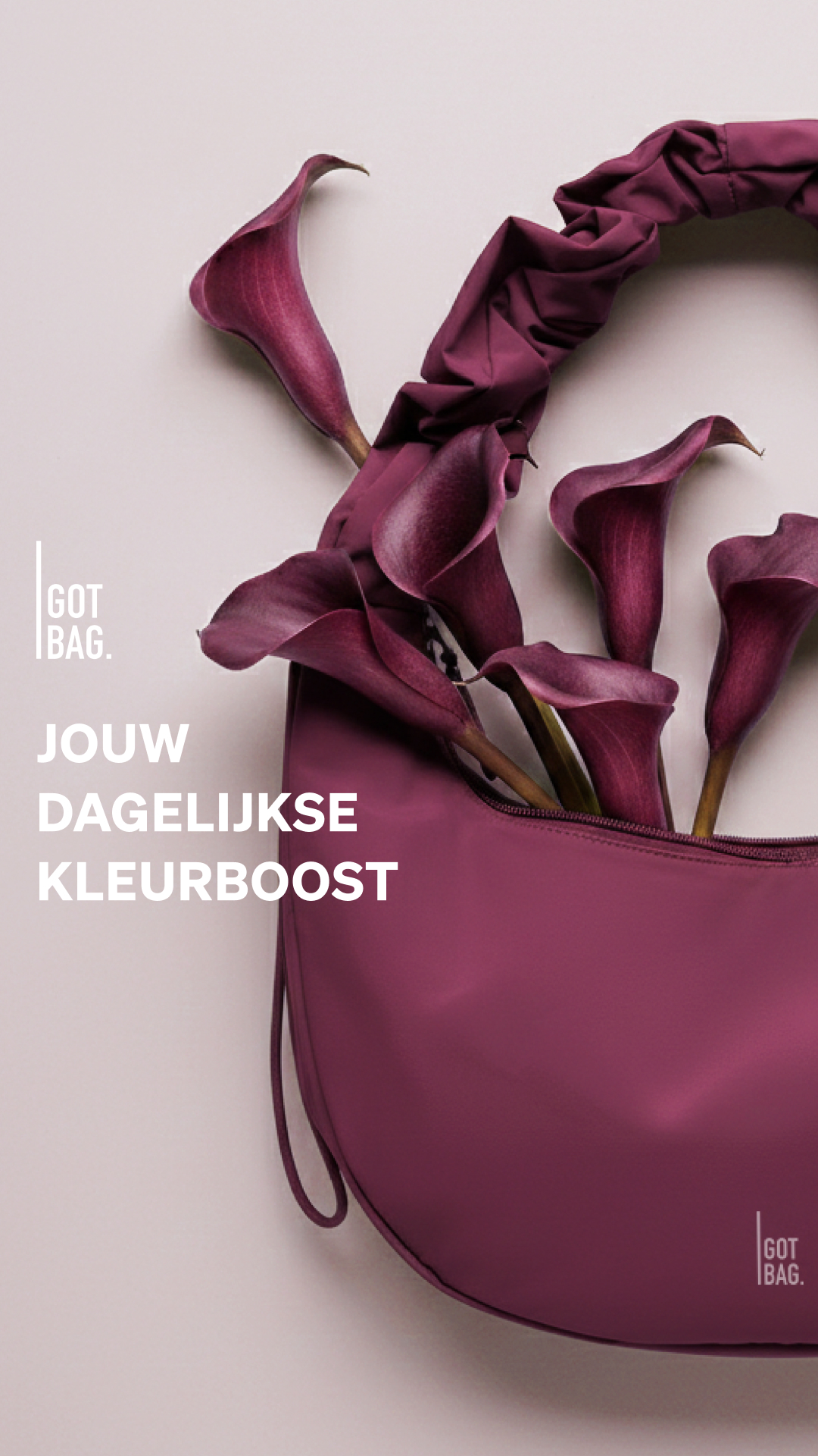 GOT BAG Facebook ad